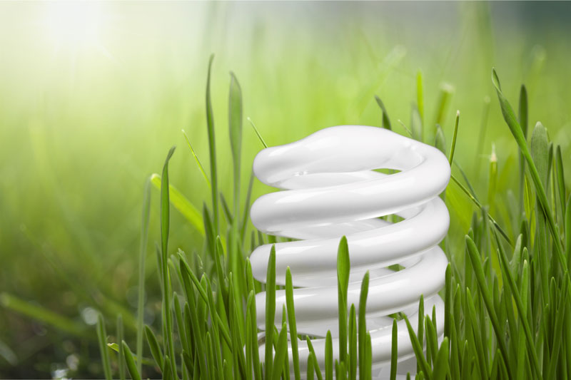 Energy Efficiency Tips to Save Energy & Money This Summer